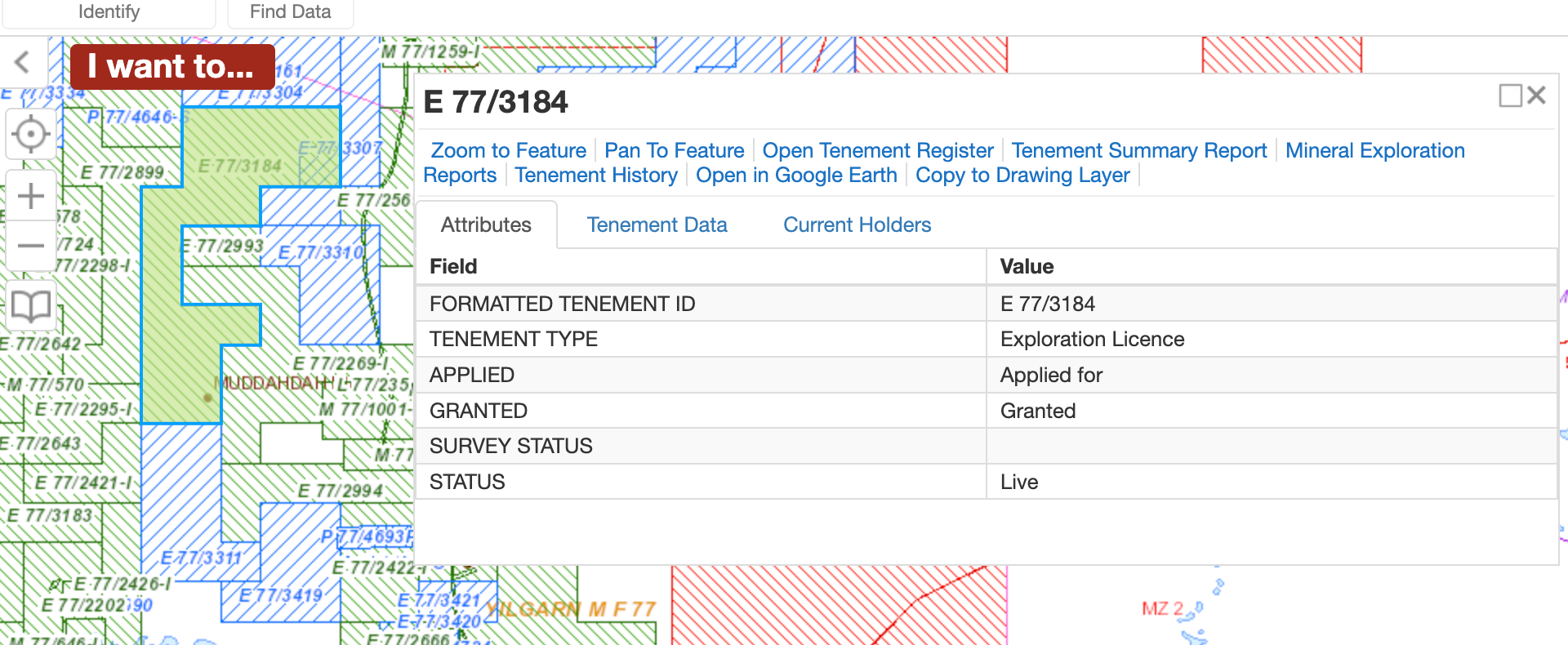 TENGRAPH Web showing a selected WA mining tenement with holder, tenement type and live status